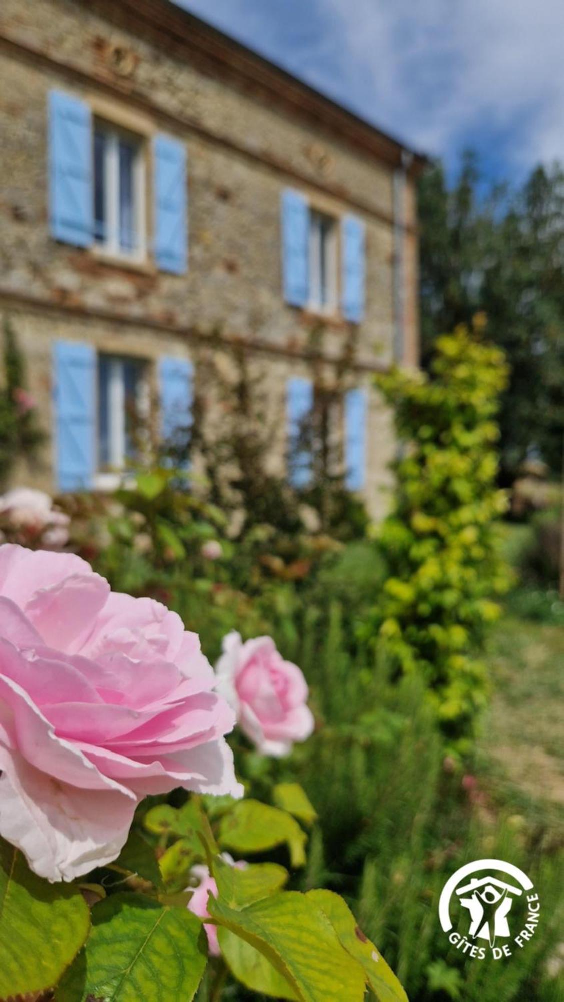 Aux Roses De Cedres Chambre Savane Salvagnac Extérieur photo